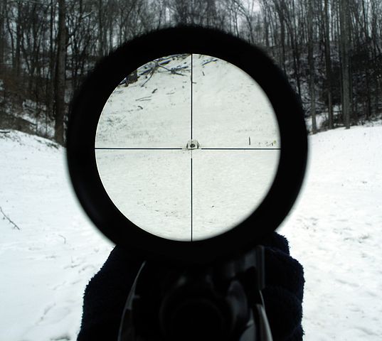 view through rifle scope 4x magnified